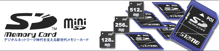 SD/miniSD�J�[�h